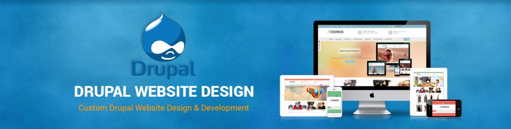 Perfect Drupal Website Designing Services